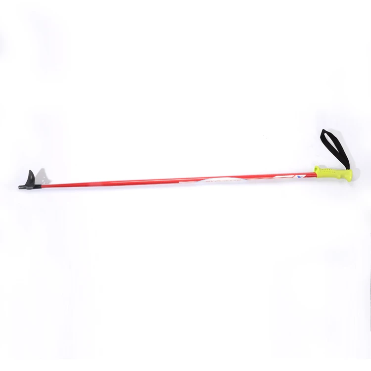 ski pole basket