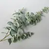 Artificial eucalyptus plants real touch grass Plastic flower stems Artificial eucalyptus leaf