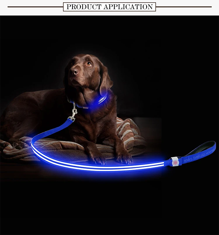Amazon Outdoor Dog Training LED Glow Leash