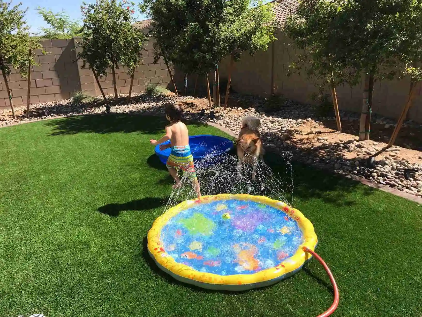 sprinkler mat