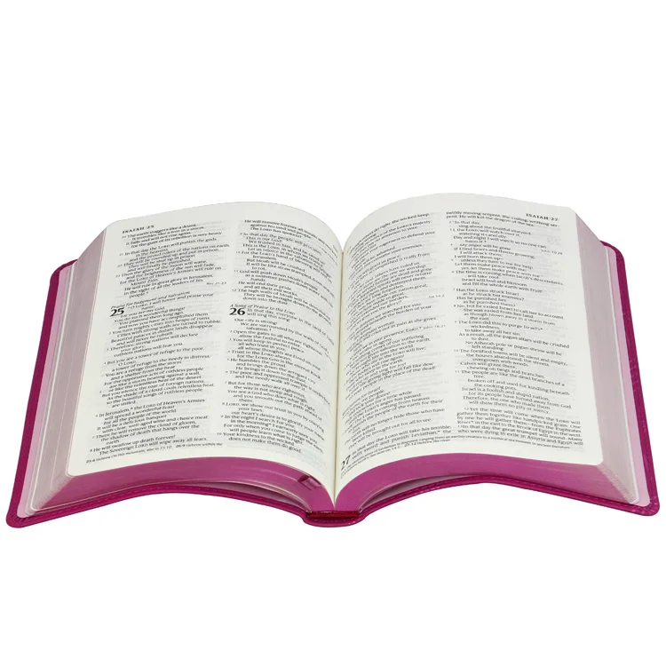 bible book033.jpg