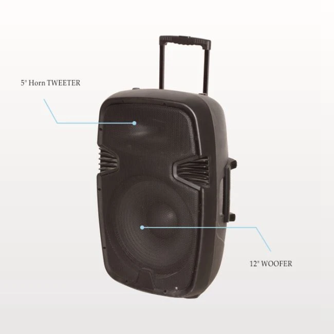 Hifi Power Supply Subwoofer Sound Box Audio System Portable DVD Speaker - ANKUX.COM