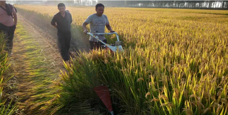 rice reaper.png