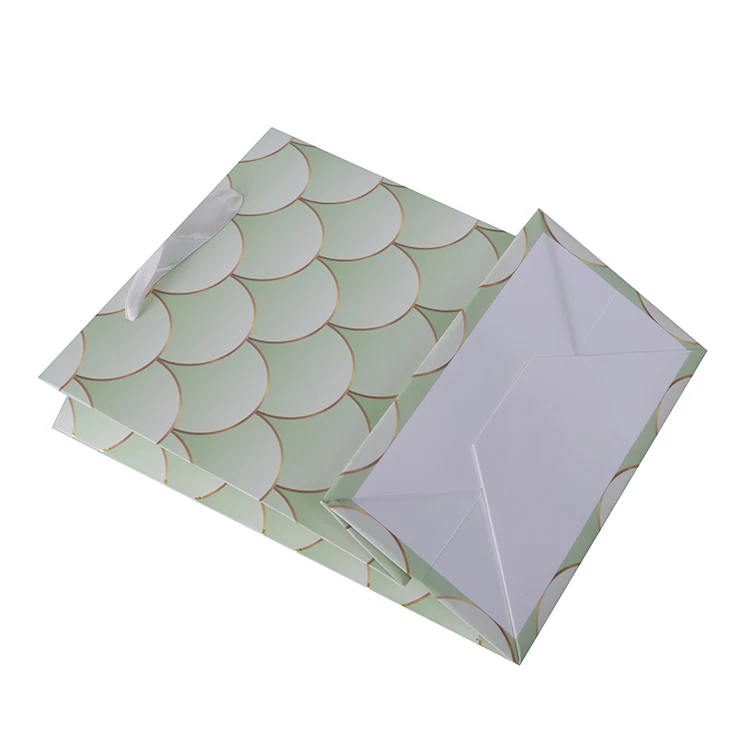 鱼鳞粮食印刷定制包装纸袋绿色纸袋购物袋手提袋