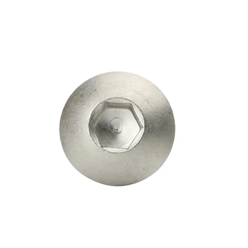 1/4 in. x 1 in. Internal Hex Button Head Round Head Cap Screw