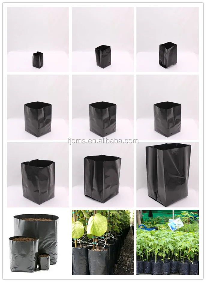 black plastic poly nursery grow bag