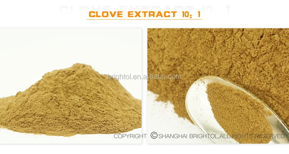 100 Natural Syzygium Aromaticum Extract /clove Extract Eugenol Powder