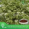 100% Natural Excellent quality India Madder Root extract