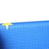 New animal party Electronic Playmate Baby Play Mat baby playing mat activity mats for babies
