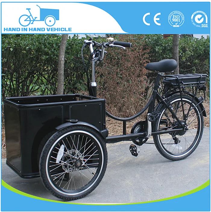 tricycle bike with child seat