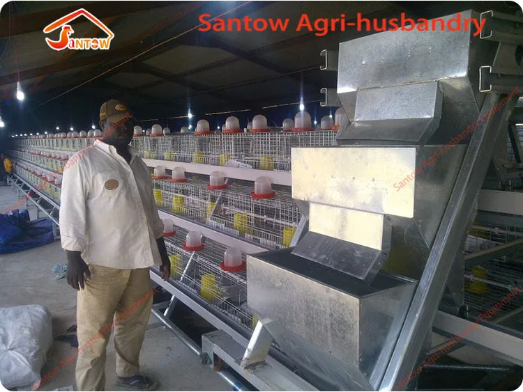 Design Broiler Chicken Cages Sri Lanka Layer Chicken Battery Cage For