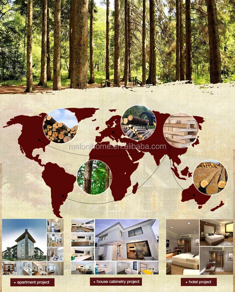 hotel apartment project.png