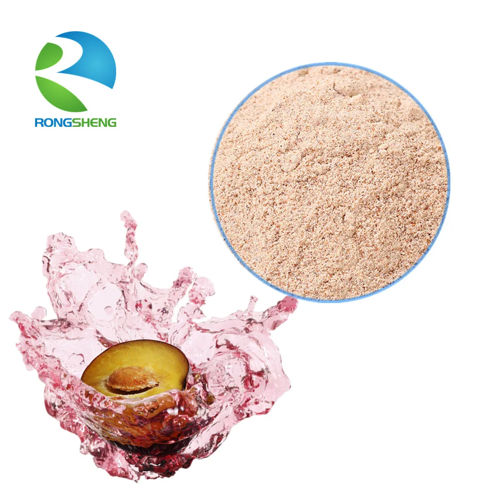 Rongsheng Free Sample Fruit Extract Powder Dried Sour Plums Buy Fruit Extract Powder Dried