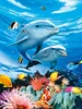 3d picture of sea animal
