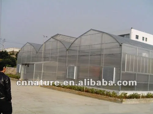 green house sheet.jpg