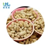 China market price palm kernel shell fresh raw 9/11 11/13 peanut in shell indonesia of beans