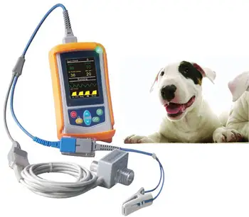 Animal Co2/capnography Monitor For Dogs/cats/horses With Ce Aprroved ...