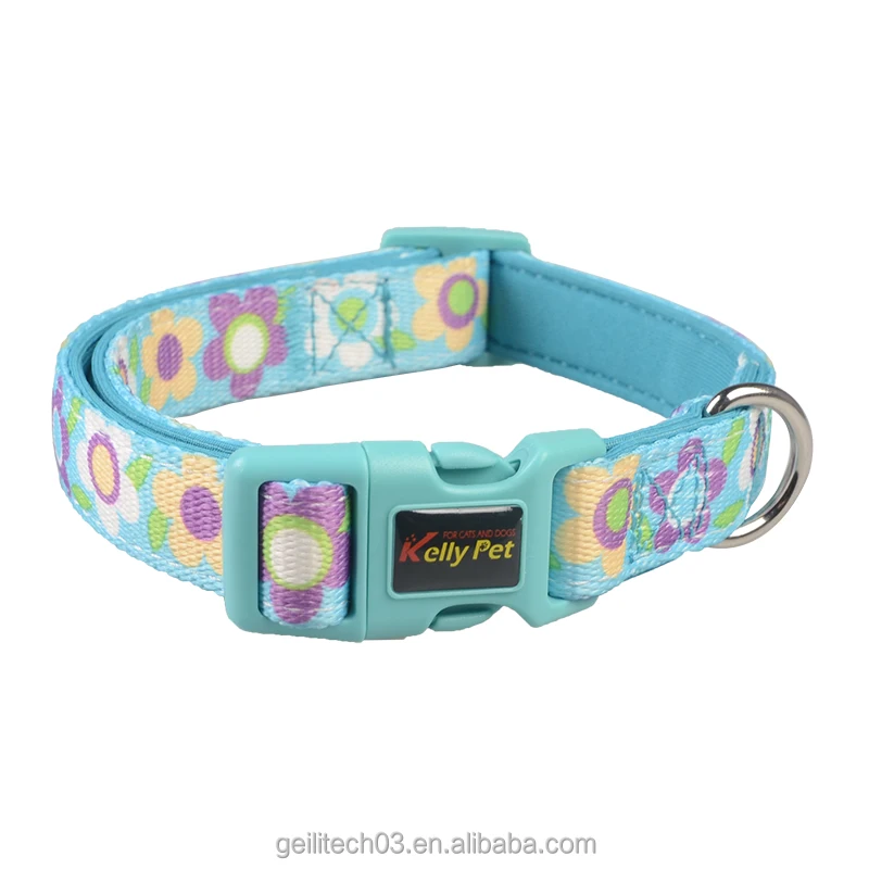 

Dog Supplier Flower Sweet Pattern D-Ring Dog Collar With Colorful Accessories and Padded Neoprene, Turquoise blue