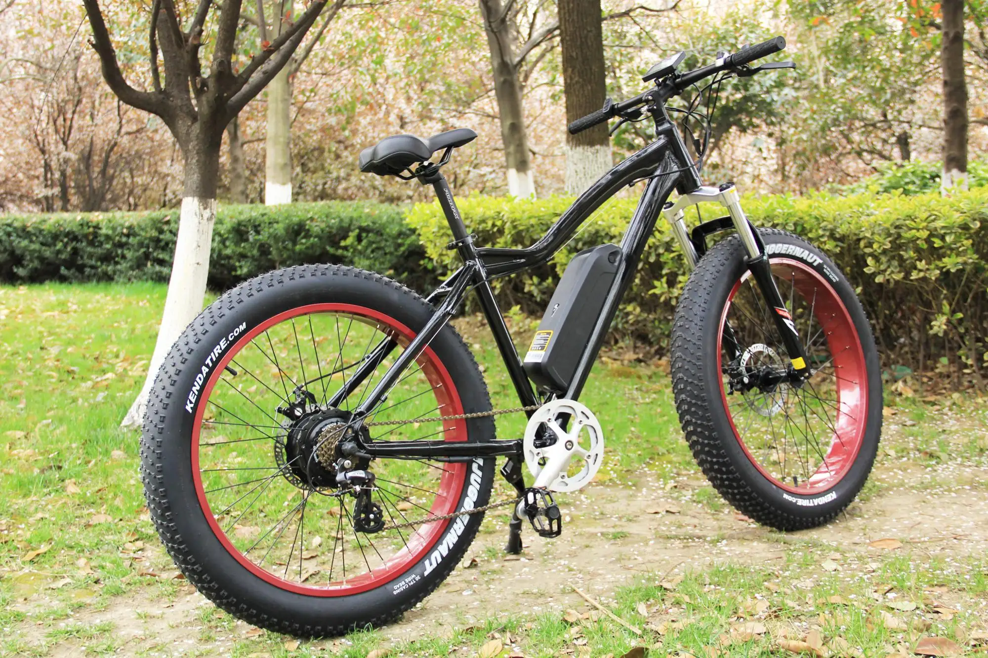 Electric fat tire mountain bike/stealth bomber electric bike with mid driving motor