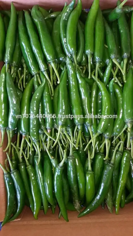fresh green chili