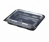 Easy Green Eco-friendly disposable plastic take away food containers Rectangle Sushi/Chow Mein Box