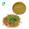 /product-detail/high-quality-natural-fenugreek-seed-extract-with-best-price-586998178.html