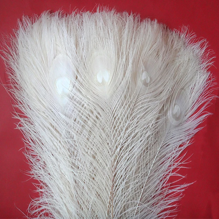 批发blured 40-45英寸白色孔雀羽毛