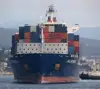 Foam scrap malaysia insulation for shipping eggs