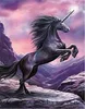 3d shape poster free sample 3D lenticular flip picture of horse