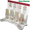 Advanced Medical Supplies Human Teaching Rheumatoid Arthritis Generic Joint Model
