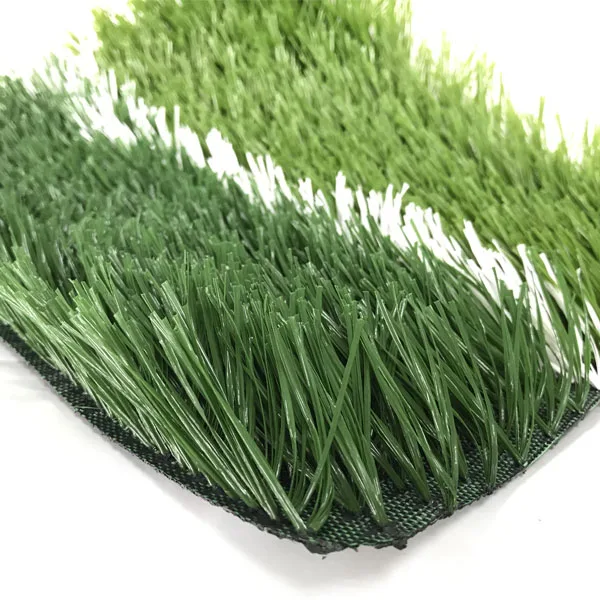 DS01 grass.jpg
