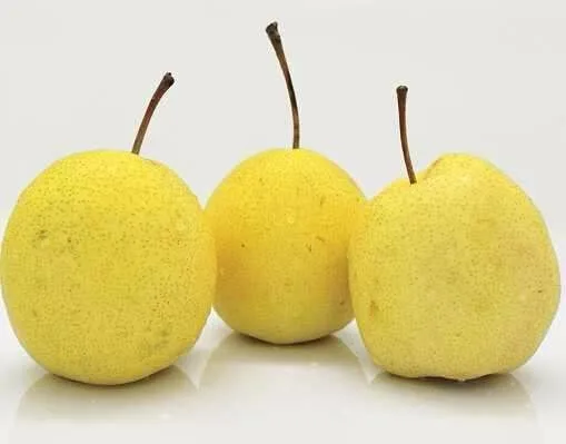 300mg 1000mg beauty body supplement balsam pear powder hard