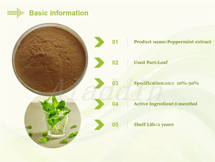 Halal Factory Supply Wholesale White Mint Powder Mint Extract Powder