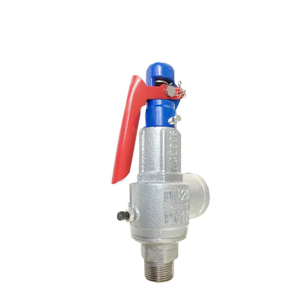 Cast Iron Pressure Relief Safety Valve Ss For Steam Gas Water Buy