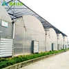 Galvanized Steel Frame And Base Multi Span Agricultural Greenhouses