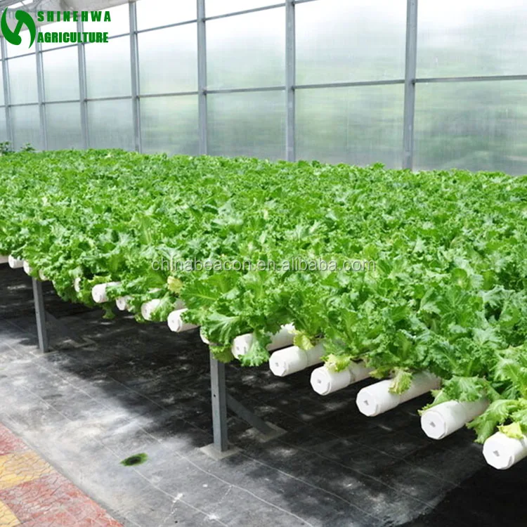 
Commercial PVC Hydroponic Grow Systems For Sale 
