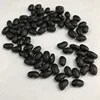 Black Kidney Bean Common Cultivation Dried Black Kidney Bean