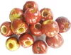 Vacuum Fried Dried VF Dates healthy snacks fruit chips