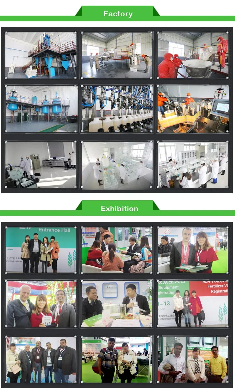 5-Agriculture pesticide.jpg