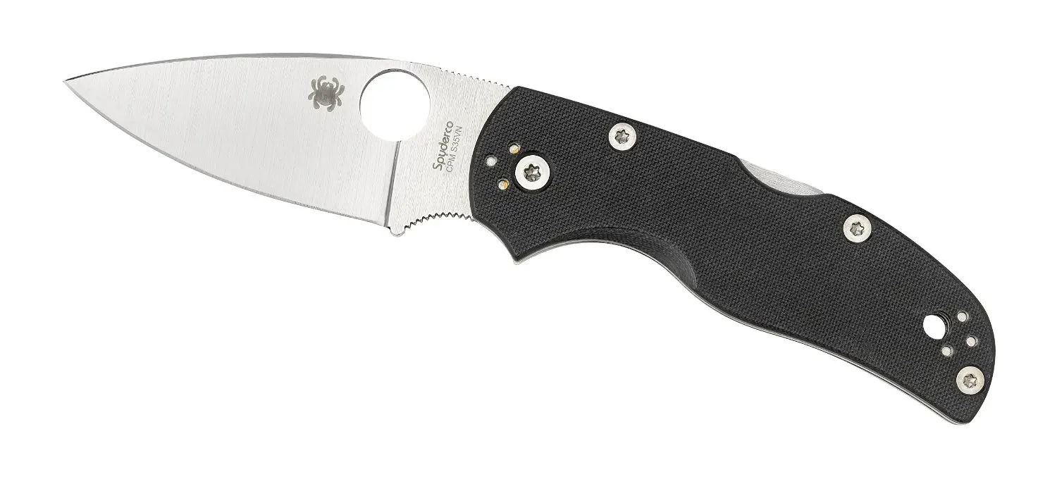 Spyderco C41GP5 Native5 G-10 Plain Edge Knife