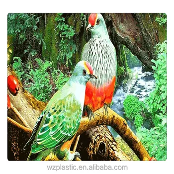 Burung Hewan 3d Gambar 3d Gambar Lenticular 3d Gambar Burung