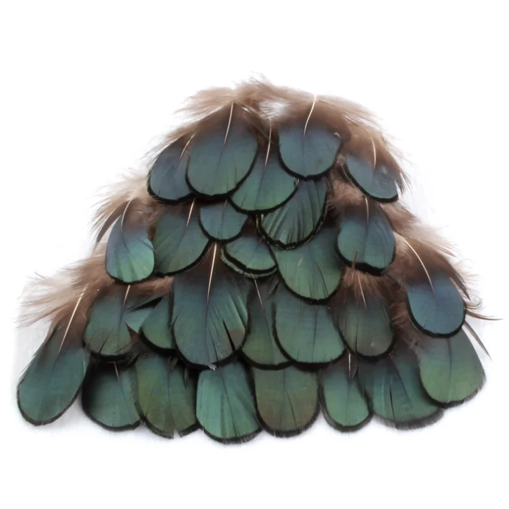 
Cheap Pheasant Feather Peacock Head Feather 
