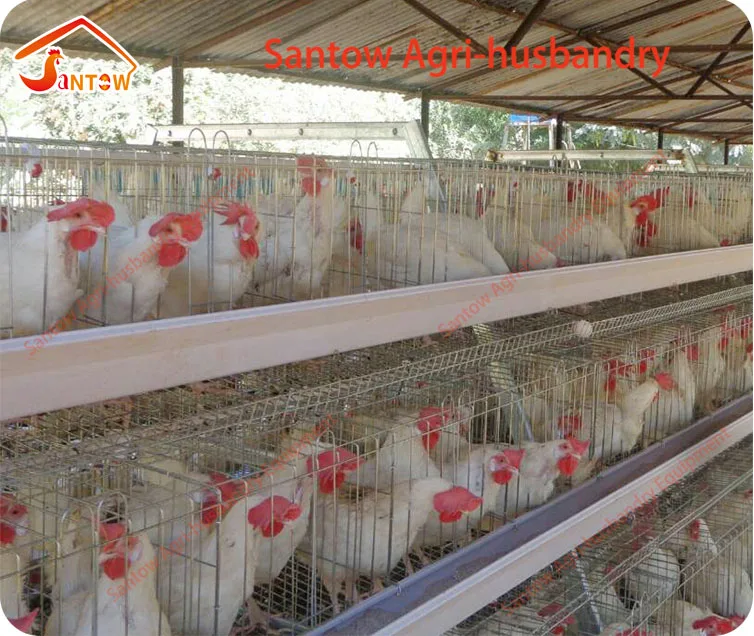 Hot Galvanized Chicken Egg Laying Cages Cold Galvanized Poultry Layer Cages Philippines For Sale