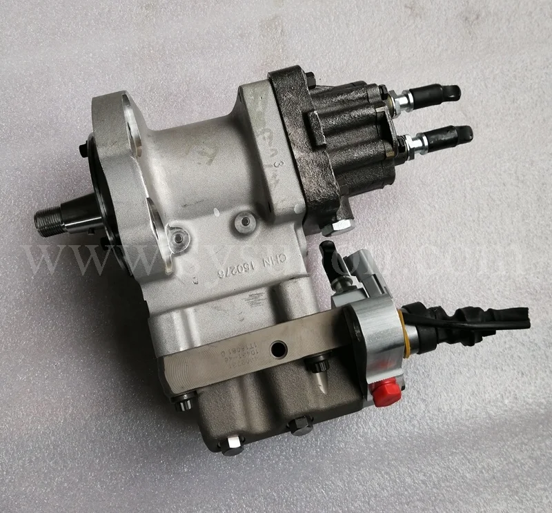4954200 (3).jpg