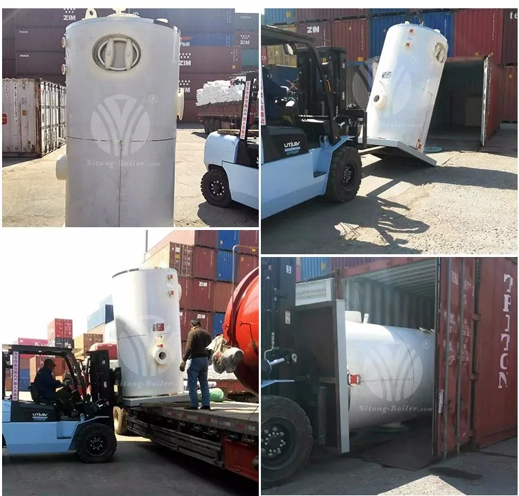 biogas natural gas steam boiler generator