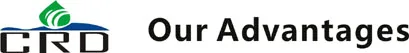 our advantages.jpg