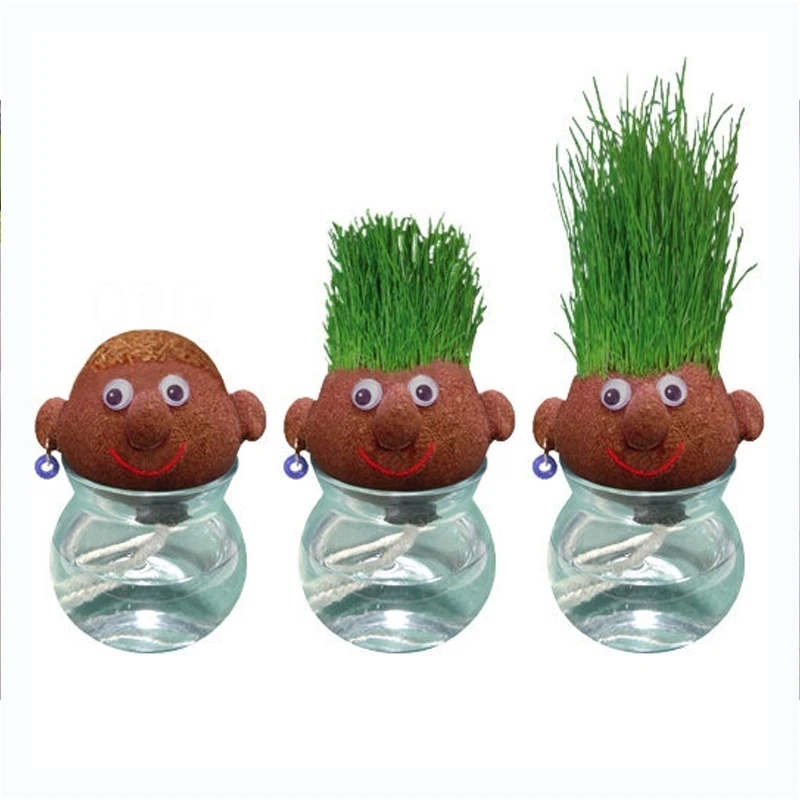 

diy planting kit Garden Decoration grass head doll growing kit