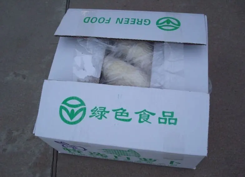 
chinese fresh radish turnip 