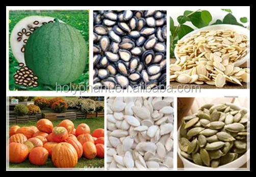 pumpkin seed sheller.jpg