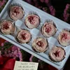 Nice Forever Young Rose Stem Cell With Lowest Price For Centerpieces